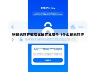 啥聊天软件收费又便宜又安全（什么聊天软件）