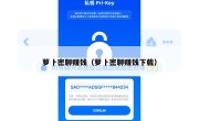 萝卜密聊赚钱（萝卜密聊赚钱下载）