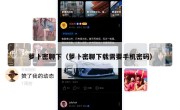 萝卜密聊下（萝卜密聊下载需要手机密码）
