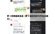 萝卜密聊最新信息（萝卜蜜的功效与作用及图片）