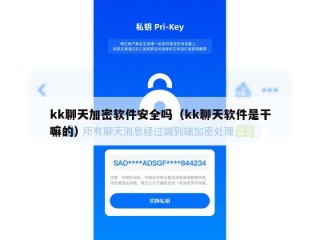 kk聊天加密软件安全吗（kk聊天软件是干嘛的）