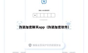 伪装加密聊天app（伪装加密软件）