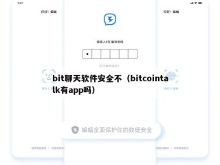 bit聊天软件安全不（bitcointalk有app吗）