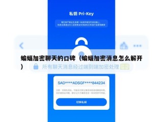 蝙蝠加密聊天的口碑（蝙蝠加密消息怎么解开）