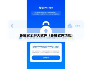 鲁班安全聊天软件（鲁班软件功能）