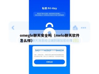 omegle聊天安全吗（melo聊天软件怎么样）
