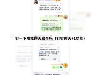 钉一下功能聊天安全吗（钉钉聊天+1功能）