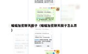 蝙蝠加密聊天圈子（蝙蝠加密聊天圈子怎么弄）