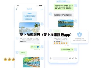 萝卜加密聊天（萝卜加密聊天app）