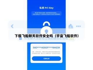 下载飞船聊天软件安全吗（宇宙飞船软件）
