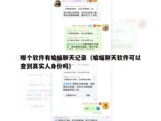 哪个软件有蝙蝠聊天记录（蝙蝠聊天软件可以查到真实人身份吗）