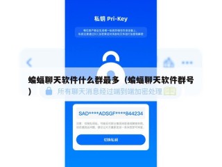 蝙蝠聊天软件什么群最多（蝙蝠聊天软件群号）