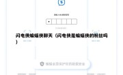 闪电侠蝙蝠侠聊天（闪电侠是蝙蝠侠的粉丝吗）