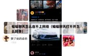 蝙蝠聊天怎么连不上网络（蝙蝠聊天打不开怎么回事）