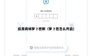 应用商城萝卜密聊（萝卜密怎么开启）