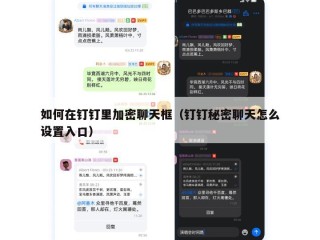 如何在钉钉里加密聊天框（钉钉秘密聊天怎么设置入口）