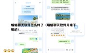 蝙蝠聊天软件怎么样了（蝙蝠聊天软件用来干嘛的）
