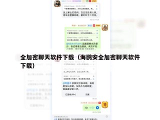 全加密聊天软件下载（海鸥安全加密聊天软件下载）
