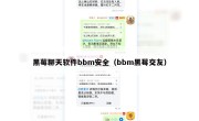 黑莓聊天软件bbm安全（bbm黑莓交友）