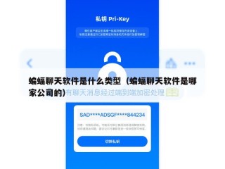 蝙蝠聊天软件是什么类型（蝙蝠聊天软件是哪家公司的）