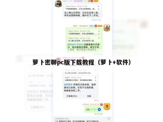 萝卜密聊pc版下载教程（萝卜+软件）