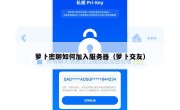 萝卜密聊如何加入服务器（萝卜交友）