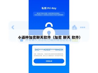 小语种加密聊天软件（加密 聊天 软件）