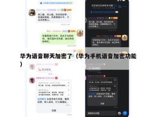 华为语音聊天加密了（华为手机语音加密功能）