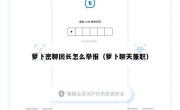 萝卜密聊团长怎么举报（萝卜聊天兼职）
