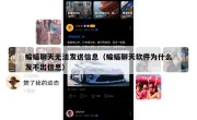 蝙蝠聊天无法发送信息（蝙蝠聊天软件为什么发不出信息）