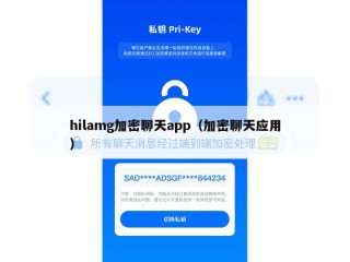 hilamg加密聊天app（加密聊天应用）