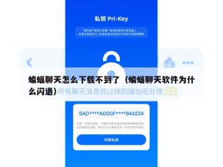 蝙蝠聊天怎么下载不到了（蝙蝠聊天软件为什么闪退）
