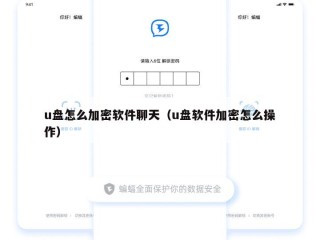 u盘怎么加密软件聊天（u盘软件加密怎么操作）