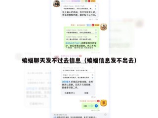 蝙蝠聊天发不过去信息（蝙蝠信息发不出去）