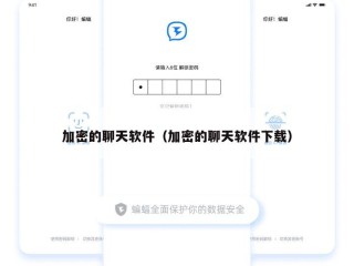 加密的聊天软件（加密的聊天软件下载）