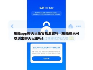 蝙蝠app聊天记录容易泄露吗（蝙蝠聊天可以调出聊天记录吗）