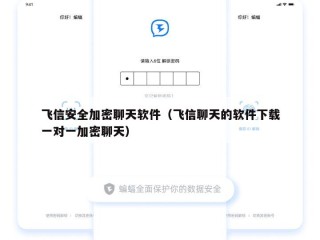 飞信安全加密聊天软件（飞信聊天的软件下载一对一加密聊天）