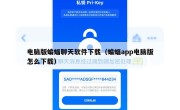 电脑版蝙蝠聊天软件下载（蝙蝠app电脑版怎么下载）