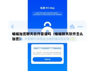 蝙蝠加密聊天软件靠谱吗（蝙蝠聊天软件怎么加密）