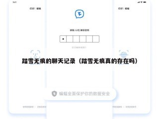 踏雪无痕的聊天记录（踏雪无痕真的存在吗）