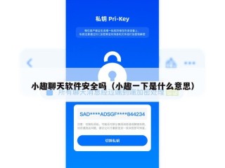 小趣聊天软件安全吗（小趣一下是什么意思）
