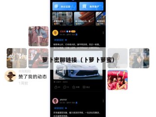 萝卜密聊链接（卜萝卜萝蜜）