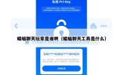 蝙蝠聊天玩家是谁啊（蝙蝠聊天工具是什么）