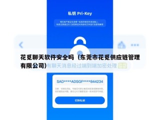 花觅聊天软件安全吗（东莞市花觅供应链管理有限公司）