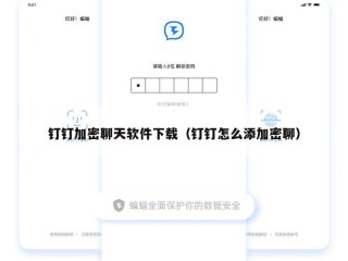 钉钉加密聊天软件下载（钉钉怎么添加密聊）