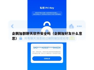 企鹅加群聊天软件安全吗（企鹅加好友什么意思）