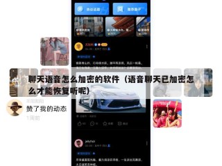 聊天语音怎么加密的软件（语音聊天已加密怎么才能恢复听呢）