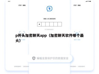 p开头加密聊天app（加密聊天软件哪个最火）