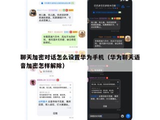 聊天加密对话怎么设置华为手机（华为聊天语音加密怎样解除）