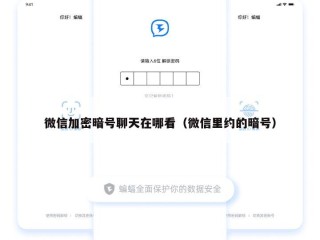 微信加密暗号聊天在哪看（微信里约的暗号）